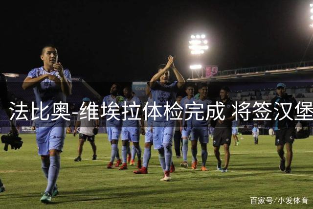 法比奥-维埃拉体检完成 将签汉堡长约含二转条款